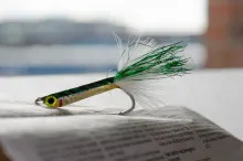 Crease Fly