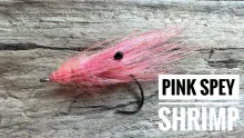 Video thumb for Pink Spey Shrimp