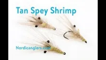 Video thumb for Tan Spey Shrimp