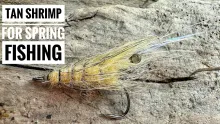 Video thumb for Tan Spring Shrimp