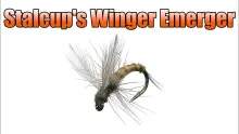 Video thumb for Stalcup's Winger Emerger