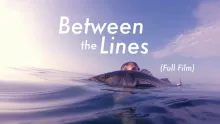 Video thumb for Between the Lines