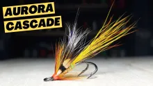 Video thumb for Aurora Cascade