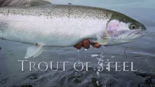 Video thumb for Trout of Steel