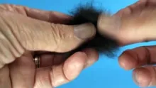 Video thumb for Loosening matted dubbing