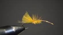 Video thumb for Quill Body Stonefly