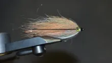 Video thumb for Realistic Baitfish