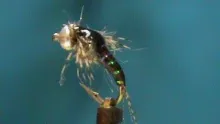 Video thumb for UV Cure Mayfly Nymph