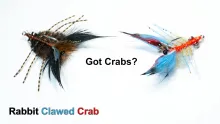 Video thumb for Rabbit Clawed Crab