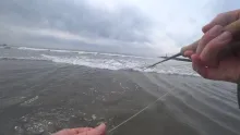 Video thumb for Fly fishing the surf!