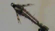 Video thumb for Isonychia Nymph