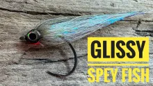 Video thumb for Glissy Spey Fish