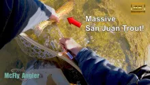 Video thumb for Massive San Juan Trout