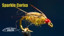 Video thumb for Sparkle Corixa