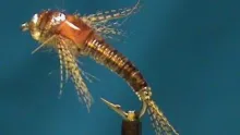 Video thumb for Beadhead UV Resin Mayfly Nymph