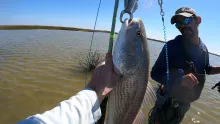 Video thumb for Redfish all day long! 