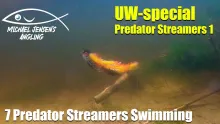 Video thumb for 7 predator flies - underwater special