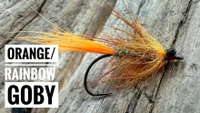 Video thumb for Orange Rainbow Goby