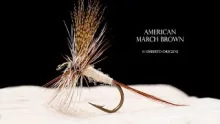 Video thumb for American March Brown