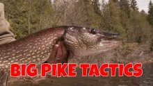 Video thumb for Big Pike Tactics On A Fly