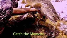 Video thumb for Catch the Moment