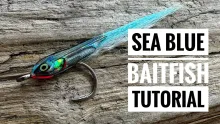 Video thumb for Sea Blue Baitfish