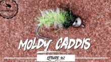 Video thumb for Moldy Caddis Pupa 