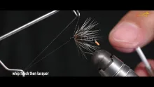 Video thumb for My favourite wet flies for chub