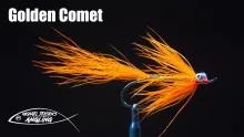 Video thumb for The Golden Comet