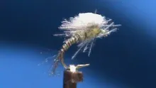 Video thumb for CDC Budding Beatis Emerger