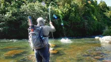 Video thumb for River Monster Tries to eat catch and bites angler!