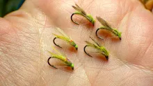 Video thumb for Olive Adult Midge