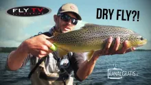 Video thumb for Sea Trout Fishing in Denmark