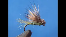 Video thumb for X Caddis