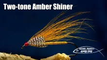 Video thumb for Two-tone Amber Shiner