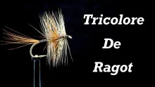 Video thumb for Tricolore de Ragot