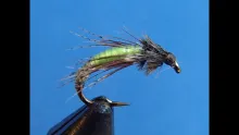 Video thumb for Barr's Graphic Caddis