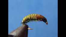 Video thumb for Green Rock Worm