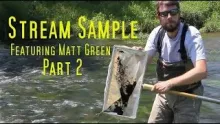 Video thumb for Stream Sample with Entomologist Matt Green (Part 2 of 2)