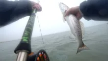 Video thumb for Fly Fishing Corpus in the Winter