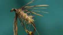 Video thumb for Hen and Hare Soft Hackle