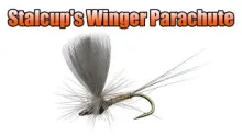 Video thumb for Stalcup's Winger Parachute