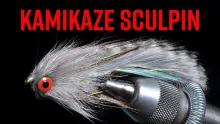 Video thumb for Kamikaze Sculpin