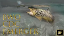 Video thumb for BWO CDC Emerger