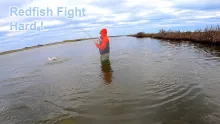 Video thumb for Gulf of Mexico Fishing in a Tropical Storm