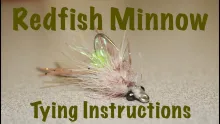 Video thumb for Redfish Minnow