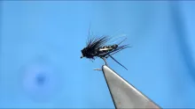 Video thumb for Detached Bodied Black Midge Hopper