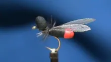 Video thumb for FrostyFly Flying Ant