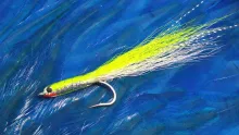 Video thumb for Mikkelson's Epoxy Baitfish