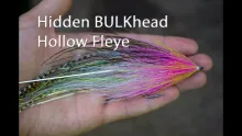 Video thumb for Hidden BULKhead Hollow Fleye